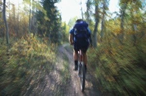 Mountain Biking on Forest Trail